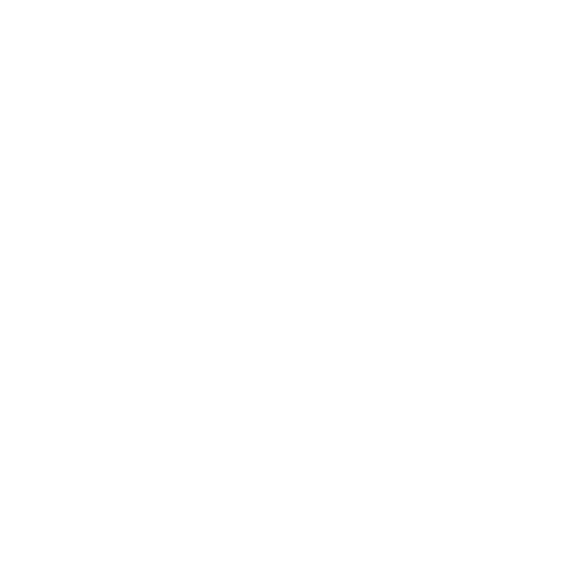 Common(普通) Wizard(法师) Emblem(徽章) 碎片 #30851