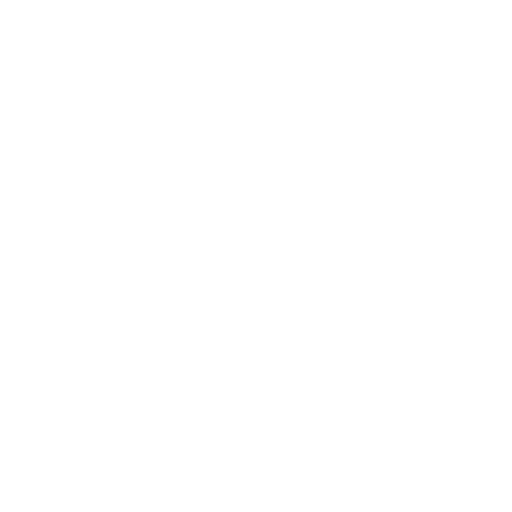 Common(普通) Wizard(法师) Emblem(徽章) 碎片 #9566