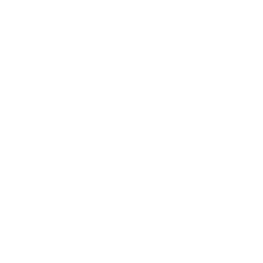 Common(普通) Wizard(法师) Emblem(徽章) 碎片 #5576