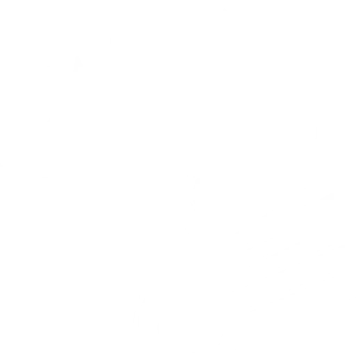 Rare(稀有) Wizard(法师) Emblem(徽章) 碎片 #40415